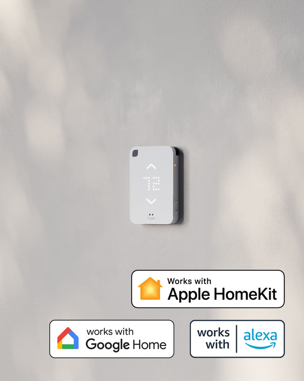 Control from HomeKit, Alexa, Google Home